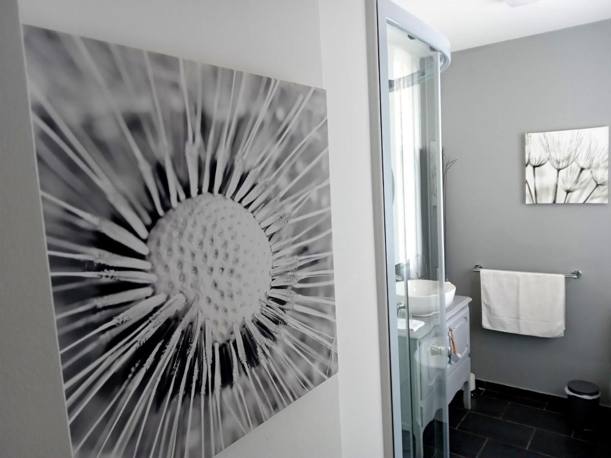 La Belle Vienne Bed & Breakfast Exideuil-sur-Vienne Exterior photo